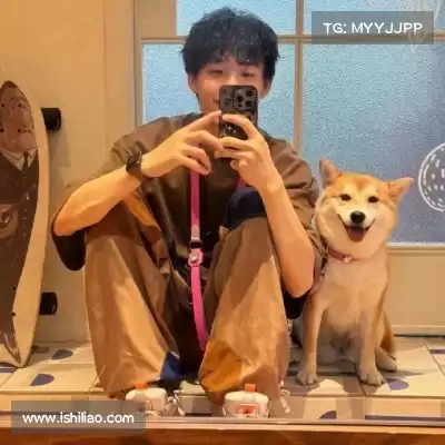凤鲁庄